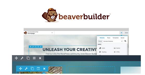 Beaver Builder Professional v2.8.5破解版（已汉化） – 页面构建器插件