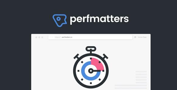 Perfmatters v2.3.4免激活版（已汉化） – WordPress性能优化插件