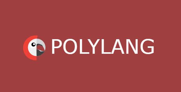 Polylang Pro v3.6.5（已汉化） – WordPress翻译插件