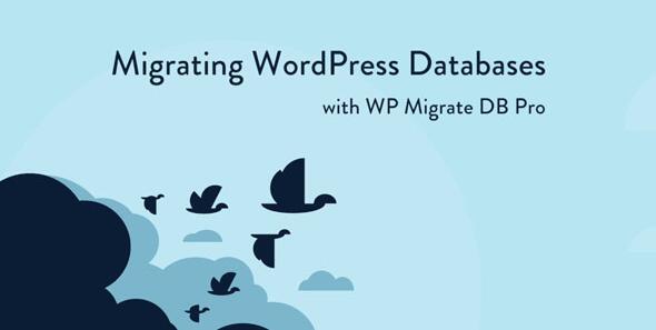 WP Migrate DB Pro v2.7.0破解版 – WordPress数据库迁移插件