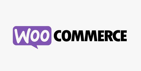 WooCommerce Product Search v6.1.0（已汉化） – WooCommerce产品搜索插件