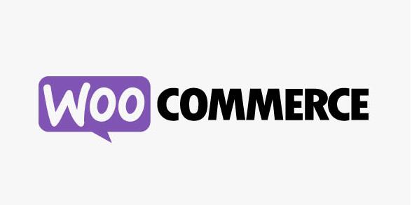 WooCommerce Instagram v4.6.1破解版（已汉化） – WooCommerce在Instagram展示产品插件