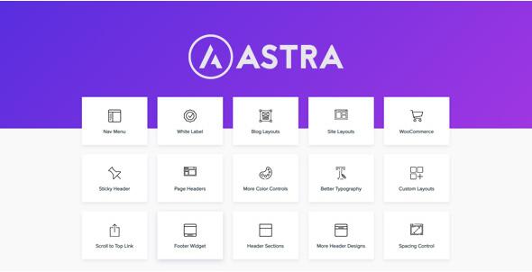 Astra Pro v4.8.6（已汉化）–使用Pro插件扩展Astra主题