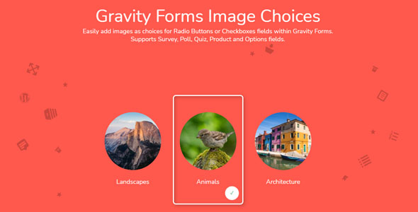 Gravity Forms Image Choices  Add-On v1.3.60