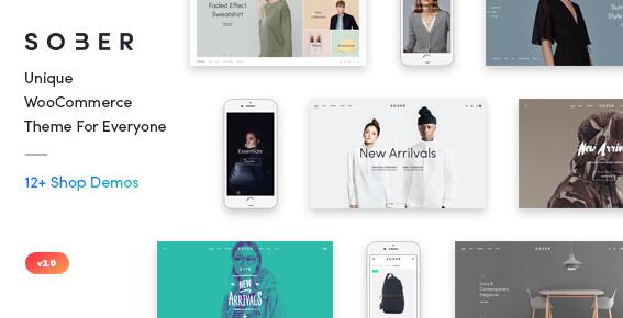 Sober v3.4.7 破解版（已汉化）- WordPress电子商务主题