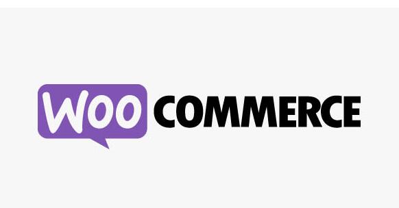 WooCommerce Google Product Feed v11.0.13破解版 – 谷歌产品提要