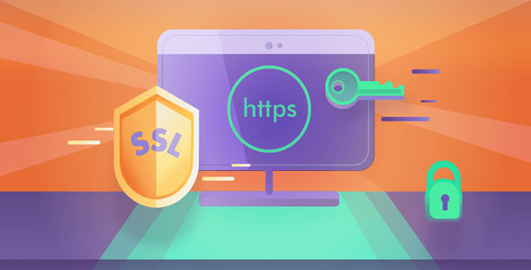 Really Simple SSL Pro v8.2.4（已汉化） – WordPress SSL插件高级版