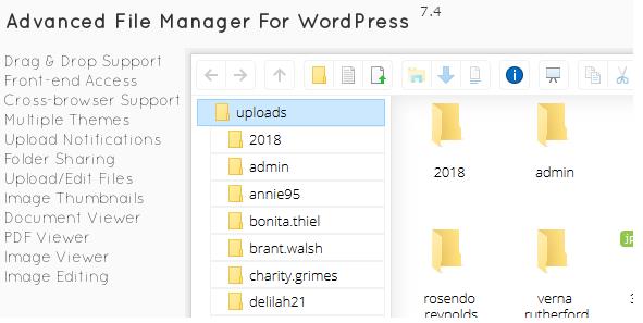 File Manager Plugin For WordPress v7.5.6 WordPress文件管理器插件