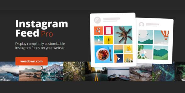 Custom Instagram Feed Pro v6.4（已汉化） – WordPress Instagram 订阅源插件