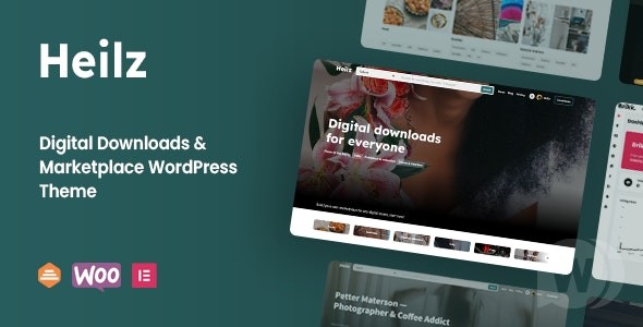 Heilz v2.0.1（已汉化80%） – Digital Goods WordPress 主题