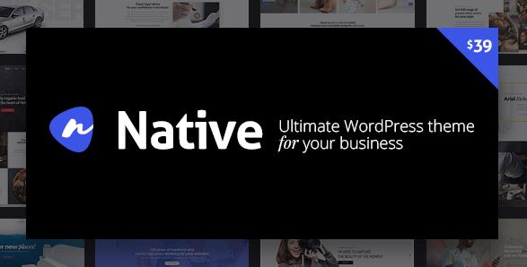 Native v1.6.9.7 – 时尚的多功能创意WordPress主题