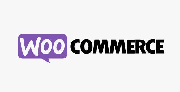 WooCommerce Group Coupons v2.9.0（已汉化）