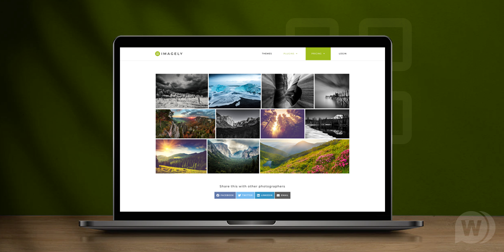 NextGEN Pro Gallery v3.8.0（已汉化） – WordPress 画廊插件