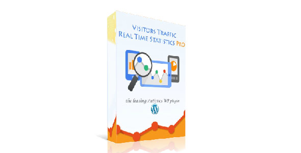 Visitor Traffic Real Time Statistics Pro v10.4 – WordPress访客流量实时统计专业版