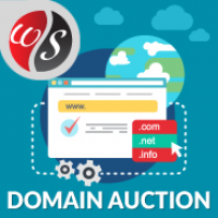 Domains Auction v1.2.0 – WHMCS域名拍卖模板