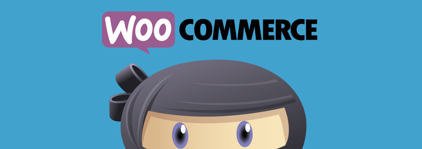 WPAdverts + Pro Extensions v2.1.7 – 使用 WooCommerce 插件  + 附加组件接受付款