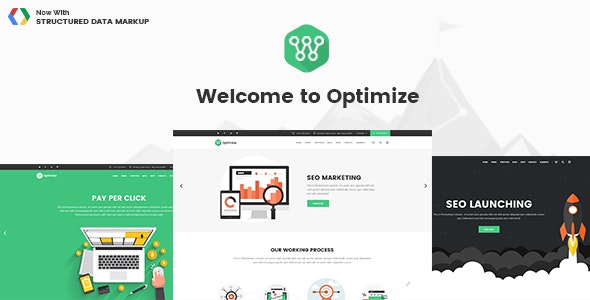 Optimize v2.1 – WordPress SEO和社交媒体主题