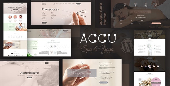 Accu v3.1 – 医疗保健、按摩 WordPress 主题 Accu