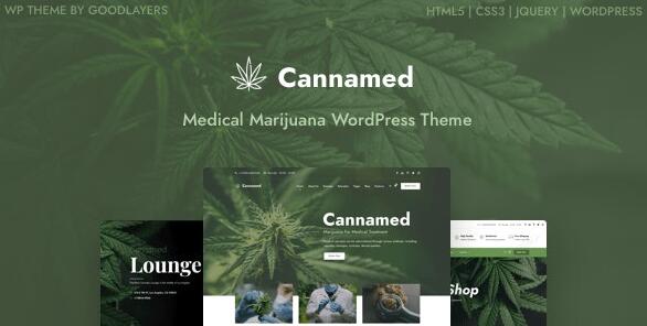 Cannamed v1.0.7 – WordPress医药主题