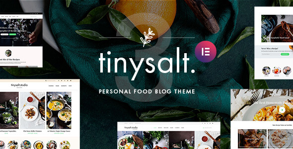 TinySalt v3.0.0 –   WordPress个人美食博客主题