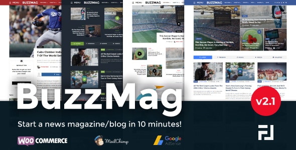 BuzzMag v2.1 – WordPress 杂志/博客主题