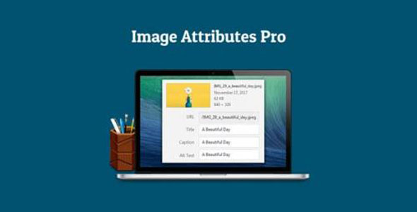 Auto Image Attributes Pro v4.5 – WordPress 插件