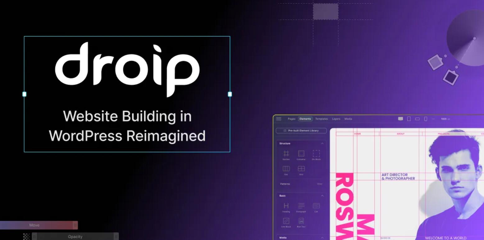 Droip v1.2.0 – No-Code website builder for WordPress