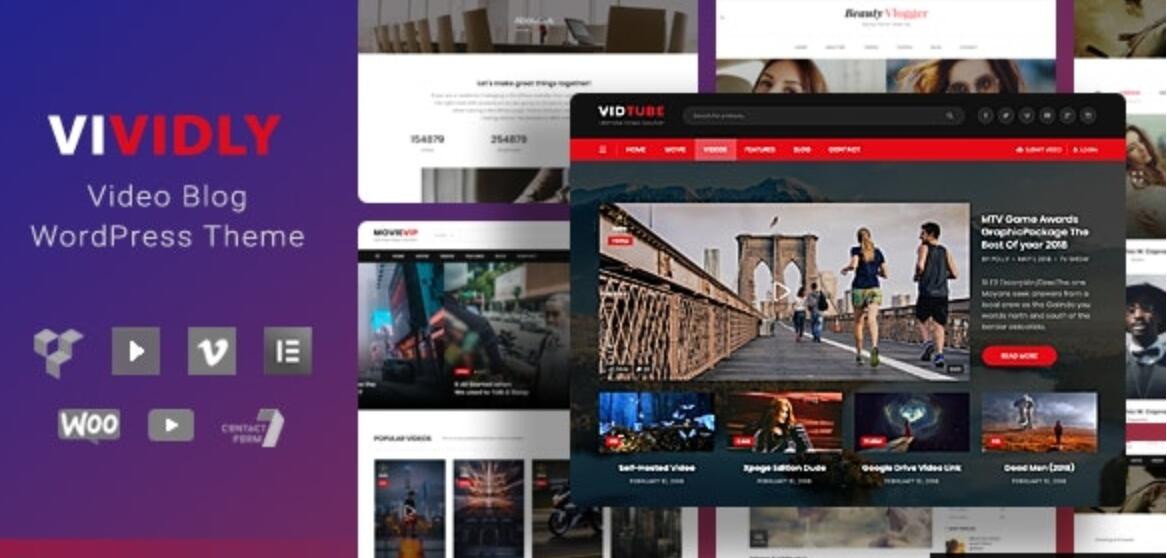 Vividly v1.5.4 – WordPress视频博客主题