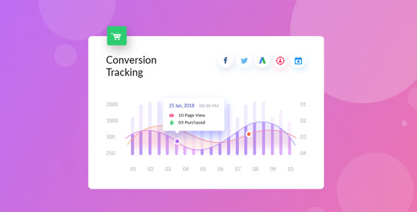 WooCommerce Conversion Tracking Pro v1.0.7破解版